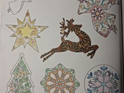 whatsapp bild 2025-12-13 um 17.38.30_b89420f8